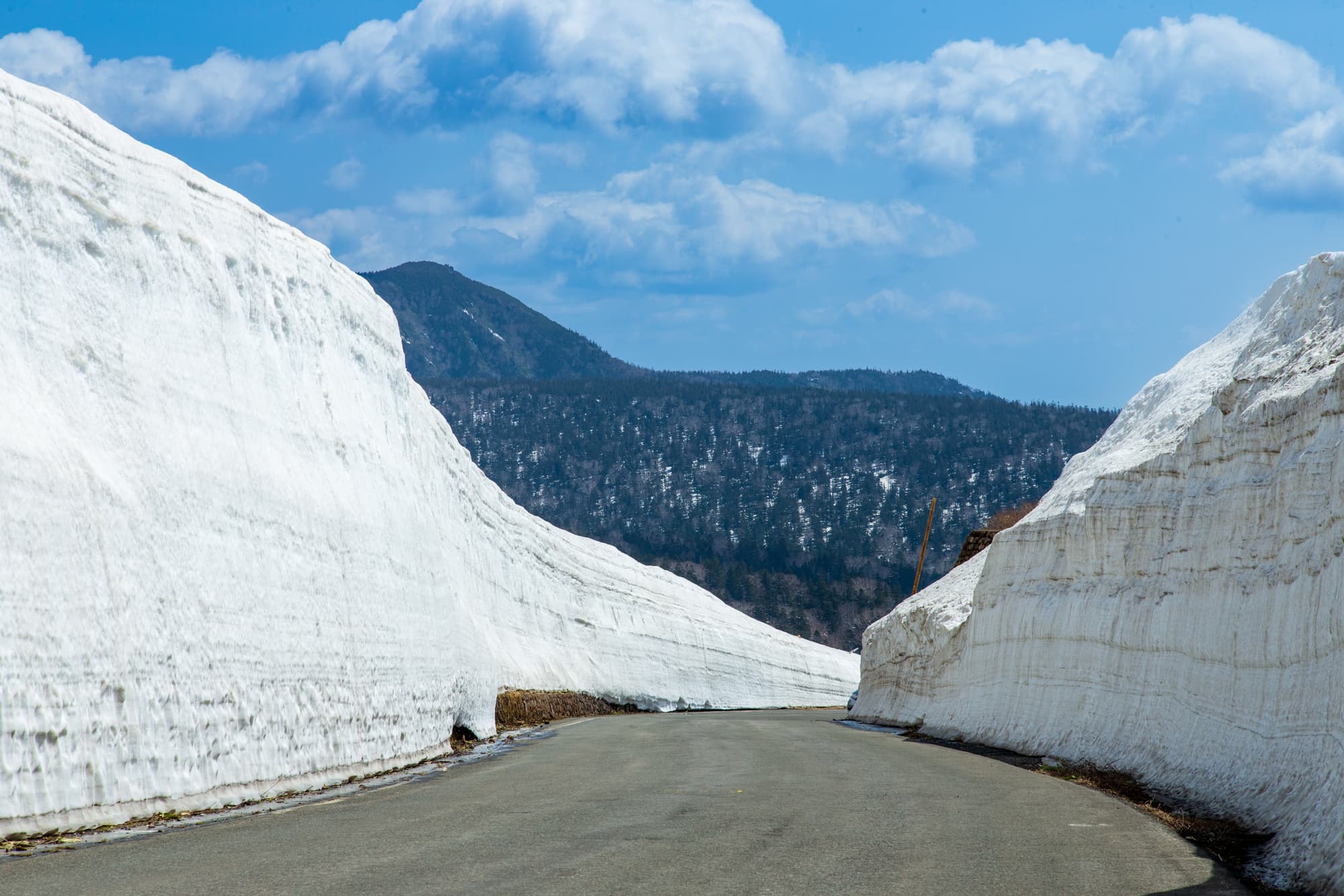 雪の回廊が続く八幡平アスピーテライン