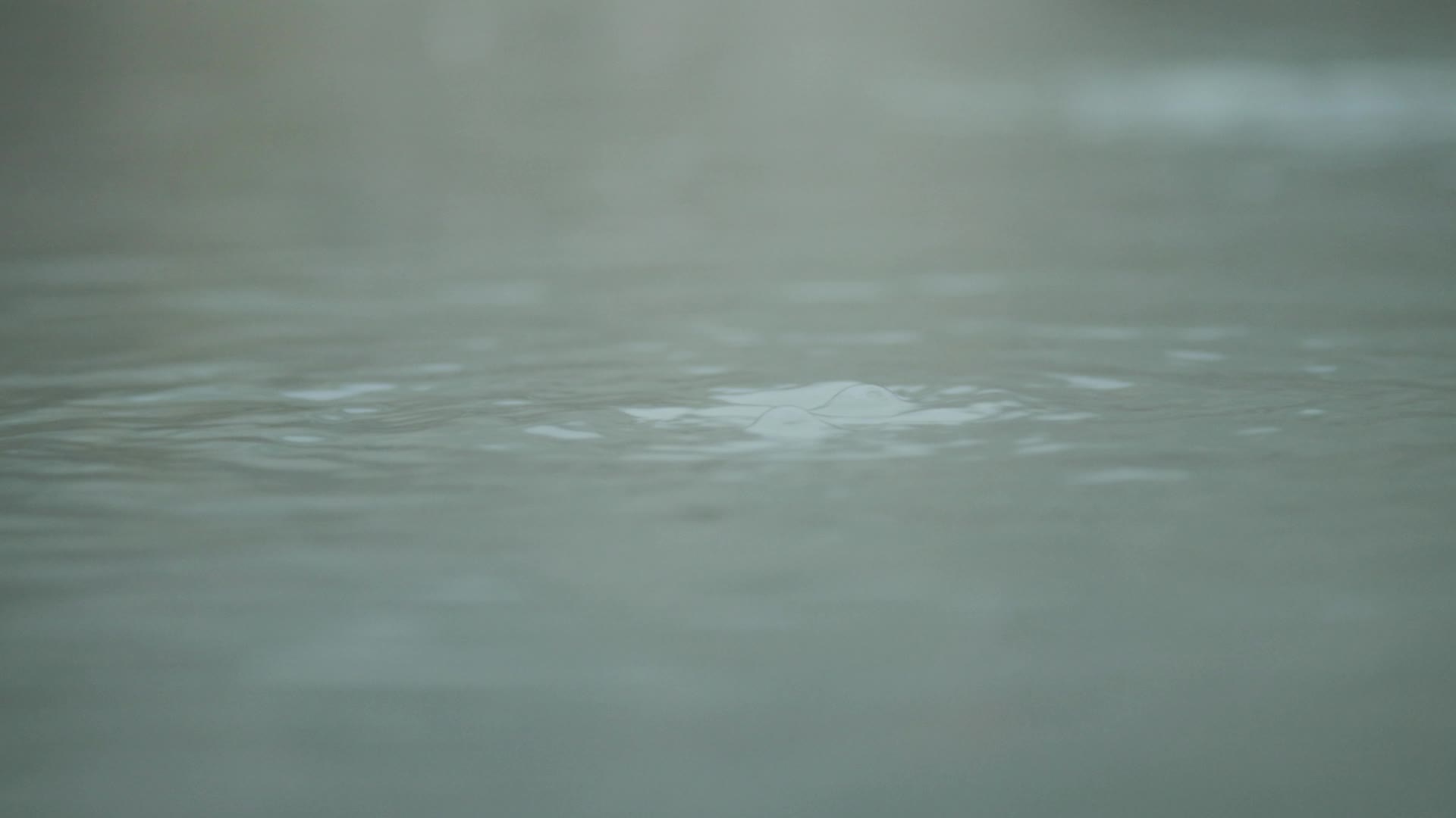 湯船の底から湧き出す温泉